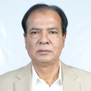 আসাদুল হাবিব দুলু